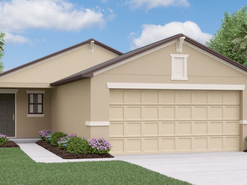 5059 White Chicory Drive - Florida - Apollo Beach - 33572